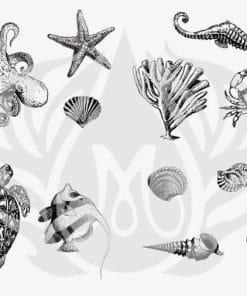 DSS0102 - Sea Life