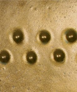 PC2L - Saturation Gold [נוזלי]