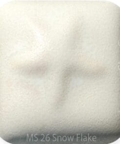 MS26 - Snowflake