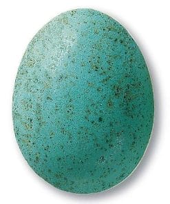 7845 (5612) - Turquoise Speckles