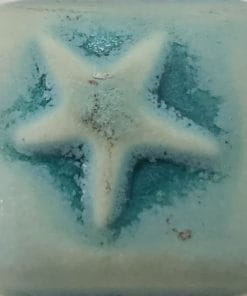 EM1212 - Wintergreen