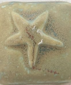 EM1225 - Pacific Swirl